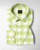 Chameleon Green and Moon White Buffalo Checks Oxford Cotton Shirt