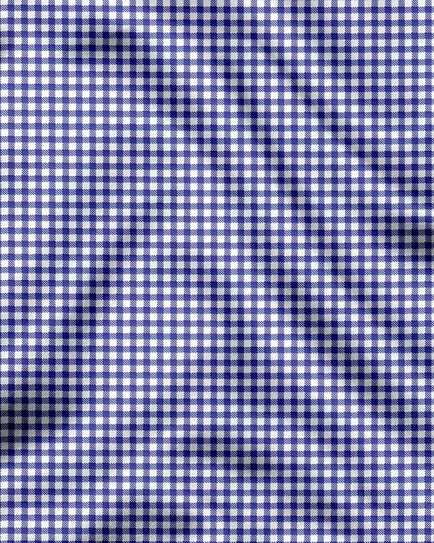 White and Amparo Blue Gingham Checks Cotton Shirt