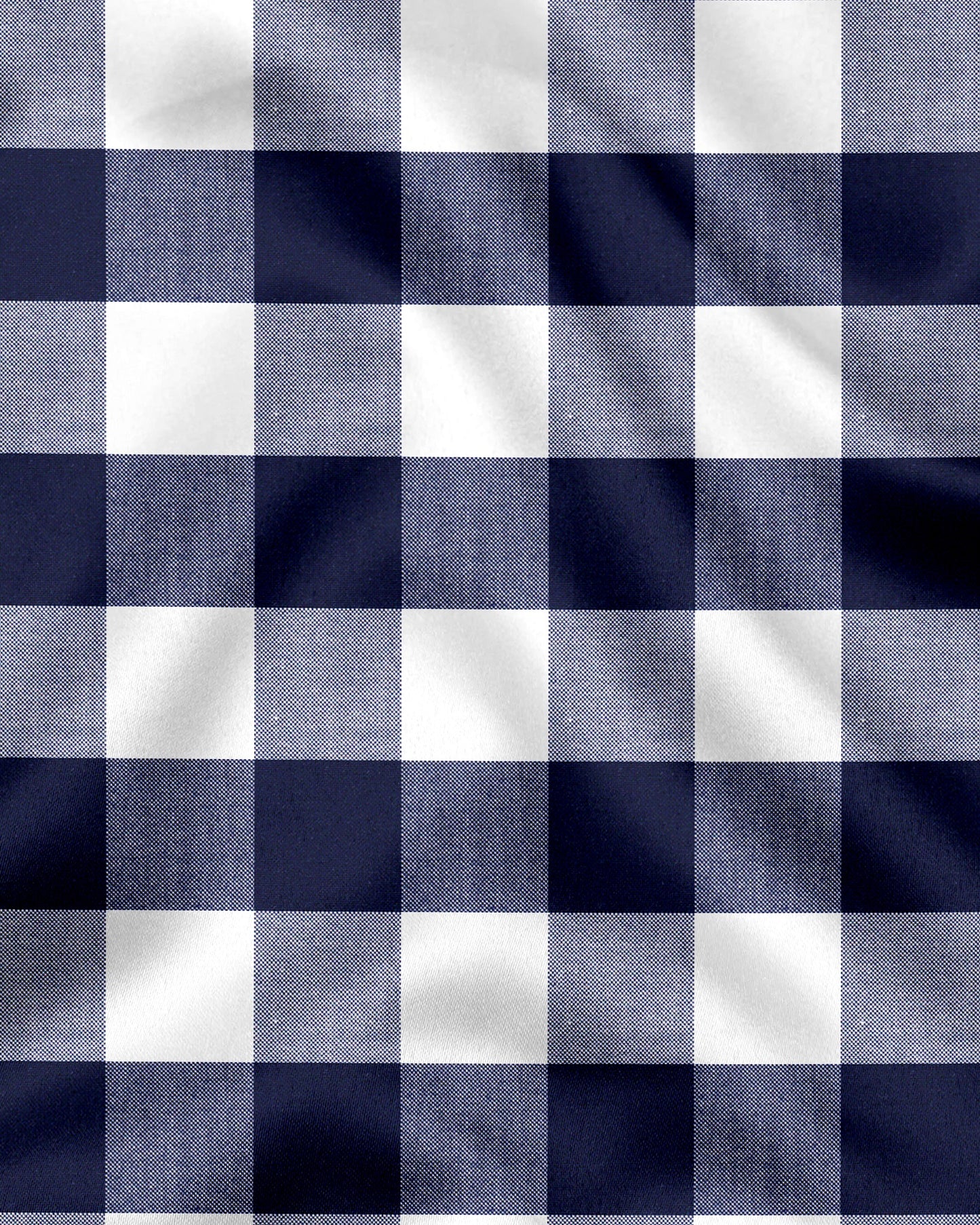 White and Ink Blue Buffalo Checks Cotton Shirt
