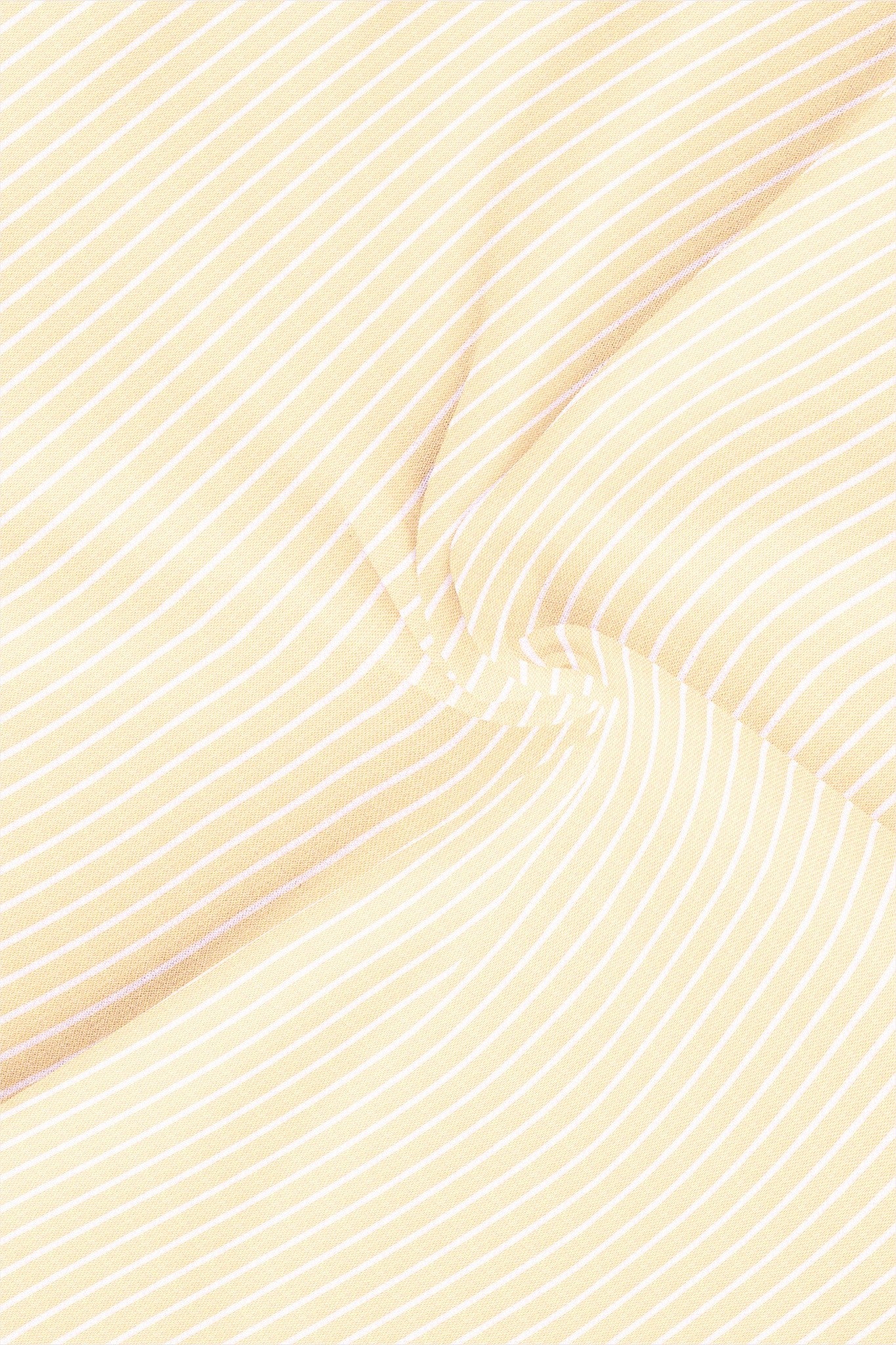 Barley Cream and White Stripes Cotton Shirt - Plus size shirt in India