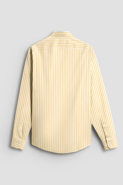 White and Cornsilk Yellow Candy Stripes Oxford Cotton Shirt