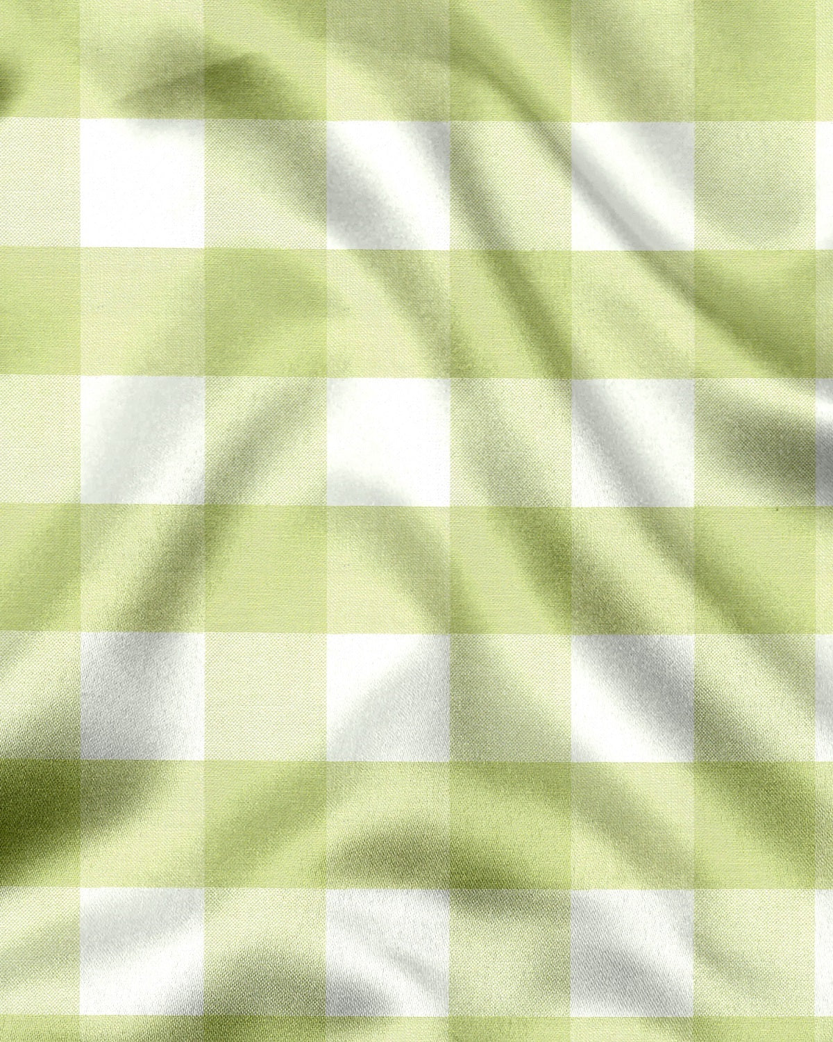 Chameleon Green and Moon White Buffalo Checks Oxford Cotton Shirt