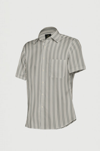 Elm Green with Dolphin Gray and Pristine Cream Stripes Premium Cotton Shirt