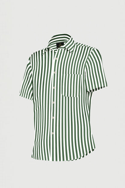 White with Loden Frost Green Candy Stripes Cotton Shirt