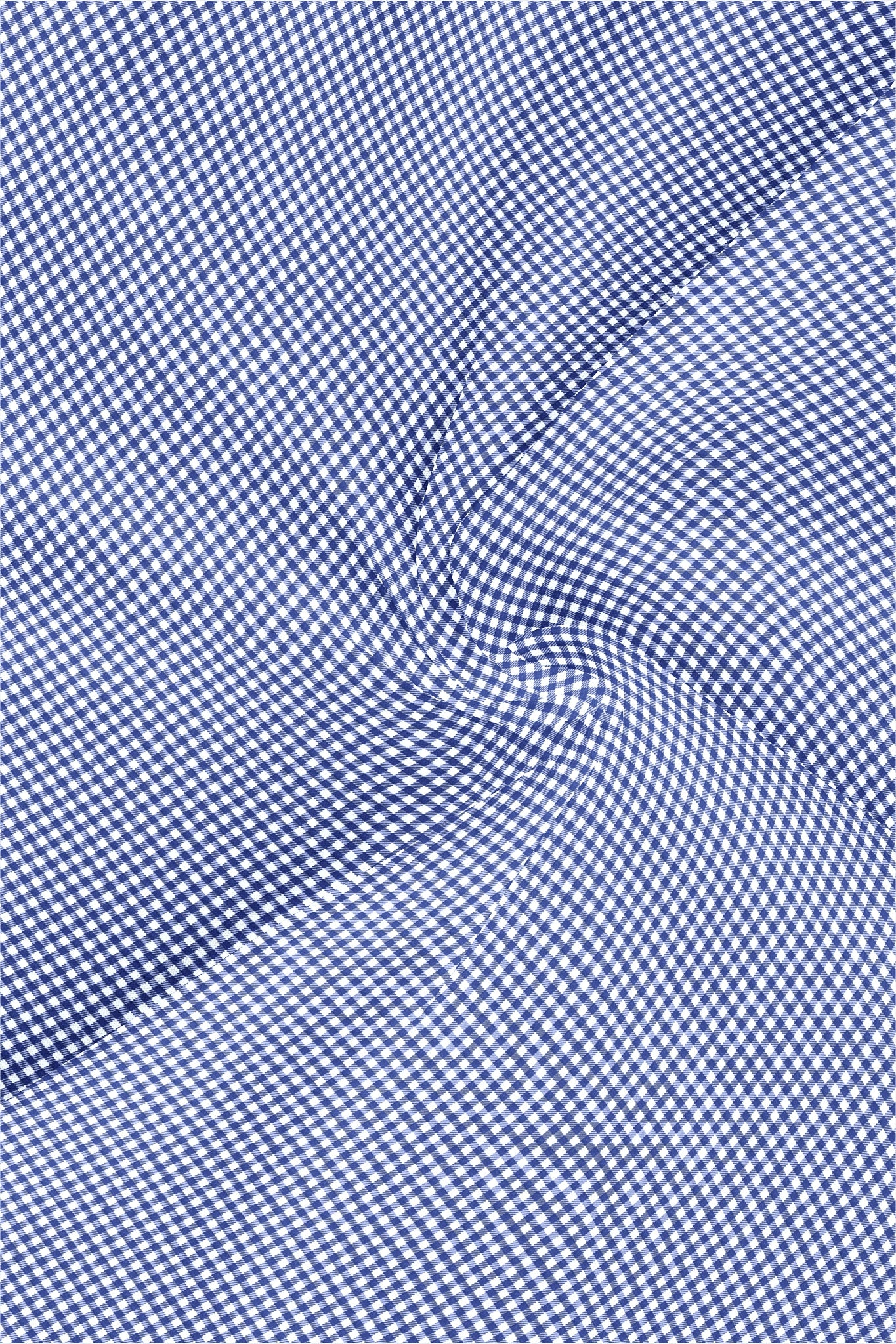 White and Amparo Blue Gingham Checks Cotton Shirt