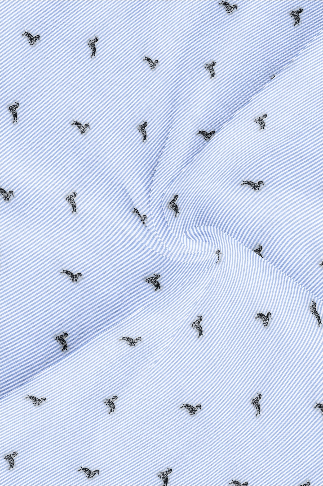 White with Carolina Blue and Black Pinstripes Jacquard Zebra Print Egyptian Giza Coton Shirt