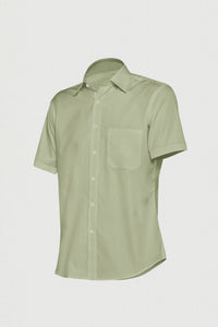 Artichoke Green Men's Giza Cotton Shirt